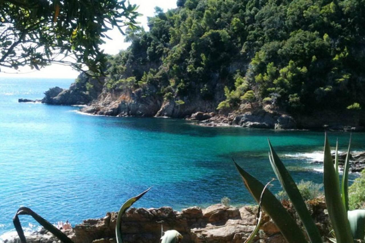 Le Noisetier Lägenhet Cavalaire-sur-Mer Exteriör bild